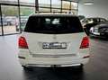 Mercedes-Benz GLK 250 CDI 4Matic*designo*Keyless*Panorama*AHK* Weiß - thumbnail 6