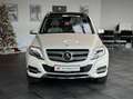 Mercedes-Benz GLK 250 CDI 4Matic*designo*Keyless*Panorama*AHK* Weiß - thumbnail 2