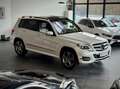 Mercedes-Benz GLK 250 CDI 4Matic*designo*Keyless*Panorama*AHK* Weiß - thumbnail 9