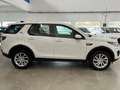 Land Rover Discovery Sport 2.0 TD4 150 CV Auto  Ed.Prem. SE Motore nuovo Wit - thumbnail 10