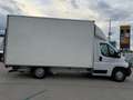 Peugeot Boxer KO LBW 165 TÜV/Service/Reifen NEU *ABVERKAUF* Weiß - thumbnail 8