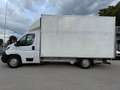 Peugeot Boxer KO LBW 165 TÜV/Service/Reifen NEU *ABVERKAUF* Weiß - thumbnail 2
