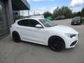 Alfa Romeo Stelvio Veloce Q4 AHK Weiß - thumbnail 2