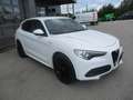 Alfa Romeo Stelvio Veloce Q4 AHK Weiß - thumbnail 4