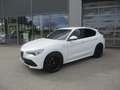 Alfa Romeo Stelvio Veloce Q4 AHK Weiß - thumbnail 3