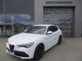 Alfa Romeo Stelvio Veloce Q4 AHK Weiß - thumbnail 1