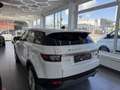 Land Rover Range Rover Evoque 2,0 TD4 150 Aut. Weiß - thumbnail 8