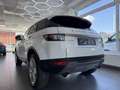 Land Rover Range Rover Evoque 2,0 TD4 150 Aut. Weiß - thumbnail 7