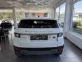 Land Rover Range Rover Evoque 2,0 TD4 150 Aut. Weiß - thumbnail 10