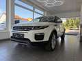 Land Rover Range Rover Evoque 2,0 TD4 150 Aut. Weiß - thumbnail 5