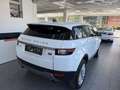 Land Rover Range Rover Evoque 2,0 TD4 150 Aut. Weiß - thumbnail 12