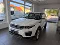 Land Rover Range Rover Evoque 2,0 TD4 150 Aut. Weiß - thumbnail 6