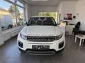 Land Rover Range Rover Evoque 2,0 TD4 150 Aut. Weiß - thumbnail 4