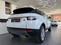 Land Rover Range Rover Evoque 2,0 TD4 150 Aut. Weiß - thumbnail 11