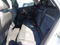 Citroen C4 BlueHDI 130 S&S EAT8 Aut. Max Weiß - thumbnail 10