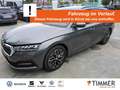 Skoda Octavia Combi 2.0 TDI DSG CLEVER *AHK *LED *RKAM *NAVI *S Grijs - thumbnail 1