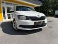 Skoda Fabia 1.0 MPI 25 Jahre Green tec Weiß - thumbnail 1