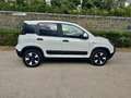 Fiat Panda Panda Cross 1.0 70 Cv  Hybrid 5 Posti Bianco - thumbnail 6