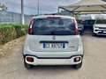 Fiat Panda Panda Cross 1.0 70 Cv  Hybrid 5 Posti Bianco - thumbnail 5