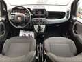 Fiat Panda Panda Cross 1.0 70 Cv  Hybrid 5 Posti Bianco - thumbnail 8