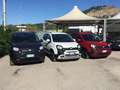Fiat Panda Panda Cross 1.0 70 Cv  Hybrid 5 Posti Bianco - thumbnail 1