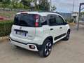 Fiat Panda Panda Cross 1.0 70 Cv  Hybrid 5 Posti Bianco - thumbnail 4