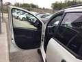 Fiat Panda Panda Cross 1.0 70 Cv  Hybrid 5 Posti Bianco - thumbnail 15