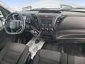 Iveco Daily 2.3 TD 35C 12 V 3520L/H2 12 M3 LD Blanc - thumbnail 8