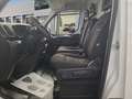 Iveco Daily 2.3 TD 35C 12 V 3520L/H2 12 M3 LD Blanc - thumbnail 9