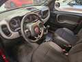 Fiat New Panda Panda 1.0 hybrid Sport s&s 70cv 5 posti Rosso - thumbnail 11