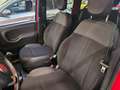 Fiat New Panda Panda 1.0 hybrid Sport s&s 70cv 5 posti Rosso - thumbnail 12