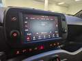 Fiat New Panda Panda 1.0 hybrid Sport s&s 70cv 5 posti Rosso - thumbnail 15