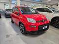 Fiat New Panda Panda 1.0 hybrid Sport s&s 70cv 5 posti Rosso - thumbnail 1