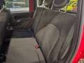Fiat New Panda Panda 1.0 hybrid Sport s&s 70cv 5 posti Rosso - thumbnail 13