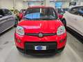 Fiat New Panda Panda 1.0 hybrid Sport s&s 70cv 5 posti Rosso - thumbnail 2