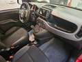 Fiat New Panda Panda 1.0 hybrid Sport s&s 70cv 5 posti Rosso - thumbnail 9