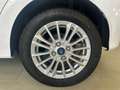 Ford Ka/Ka+ 1.2 85 CV Start&Stop Ultimate Bianco - thumbnail 4