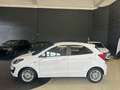 Ford Ka/Ka+ 1.2 85 CV Start&Stop Ultimate Bianco - thumbnail 3