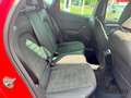 SEAT Ibiza 1,0 TSI FR Black Edition Navi Rückfahrk. Rot - thumbnail 8