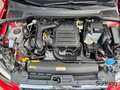 SEAT Ibiza 1,0 TSI FR Black Edition Navi Rückfahrk. Rot - thumbnail 13
