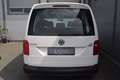 Volkswagen Caddy Kombi 2,0 TDI NAVI /  NETTO: 13.316 € Weiß - thumbnail 5