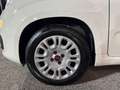 Fiat Panda Panda 1.0 FireFly S&S Hybrid, PRONTA CONSEGNA ! ! Bianco - thumbnail 8