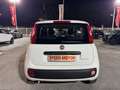 Fiat Panda Panda 1.0 FireFly S&S Hybrid, PRONTA CONSEGNA ! ! Bianco - thumbnail 6