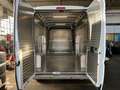 Fiat Ducato DUCATO MAXI 250 H2 - L2 Bianco - thumbnail 7