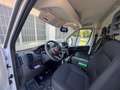 Fiat Ducato DUCATO MAXI 250 H2 - L2 Bianco - thumbnail 5