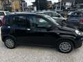 Fiat Panda 1.0 hybrid 70cv  Pandina pronta consegna Zwart - thumbnail 2