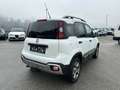 Fiat Panda 1.3 JTD95 4x4 Cross Weiß - thumbnail 6