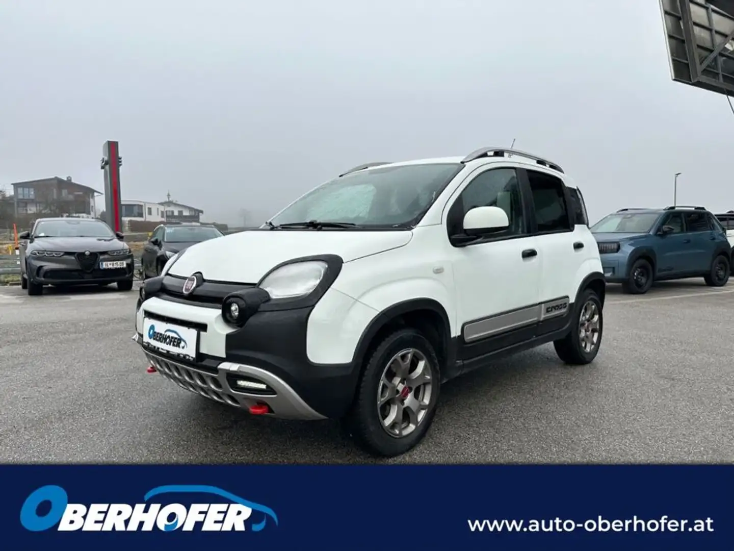 Fiat Panda 1.3 JTD95 4x4 Cross Weiß - 1
