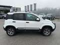 Fiat Panda 1.3 JTD95 4x4 Cross Weiß - thumbnail 7