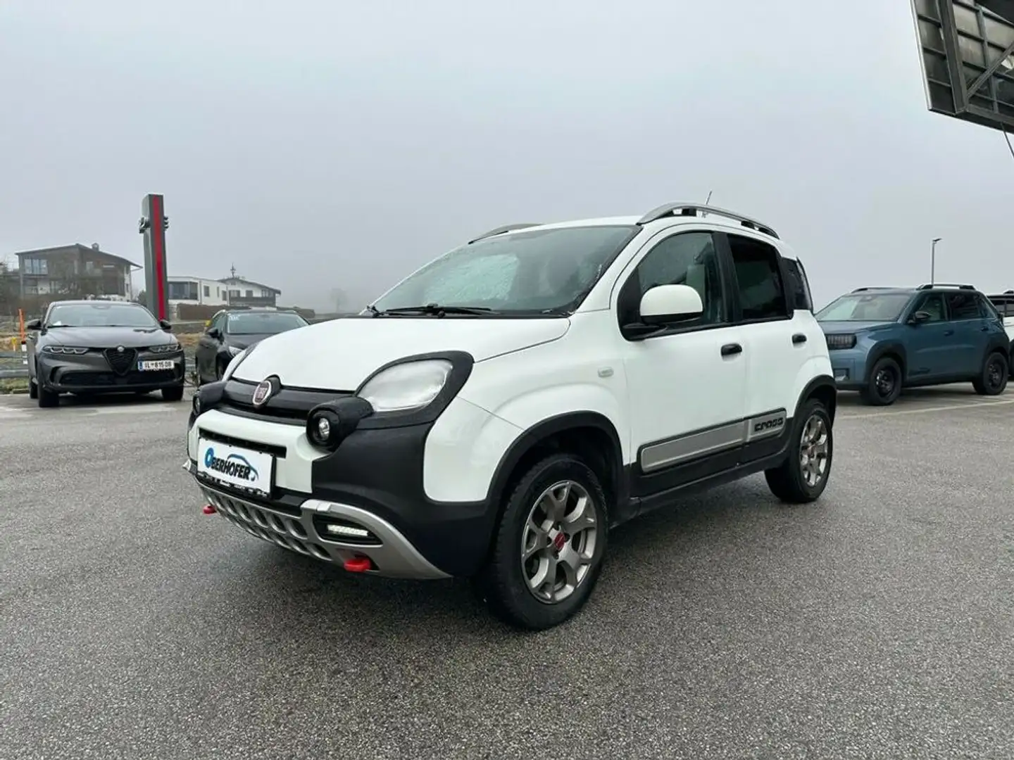 Fiat Panda 1.3 JTD95 4x4 Cross Weiß - 2